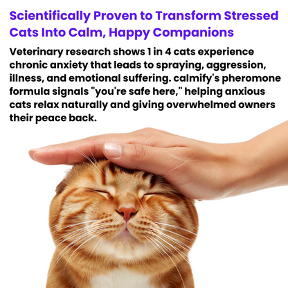 Calming Cat Diffuser